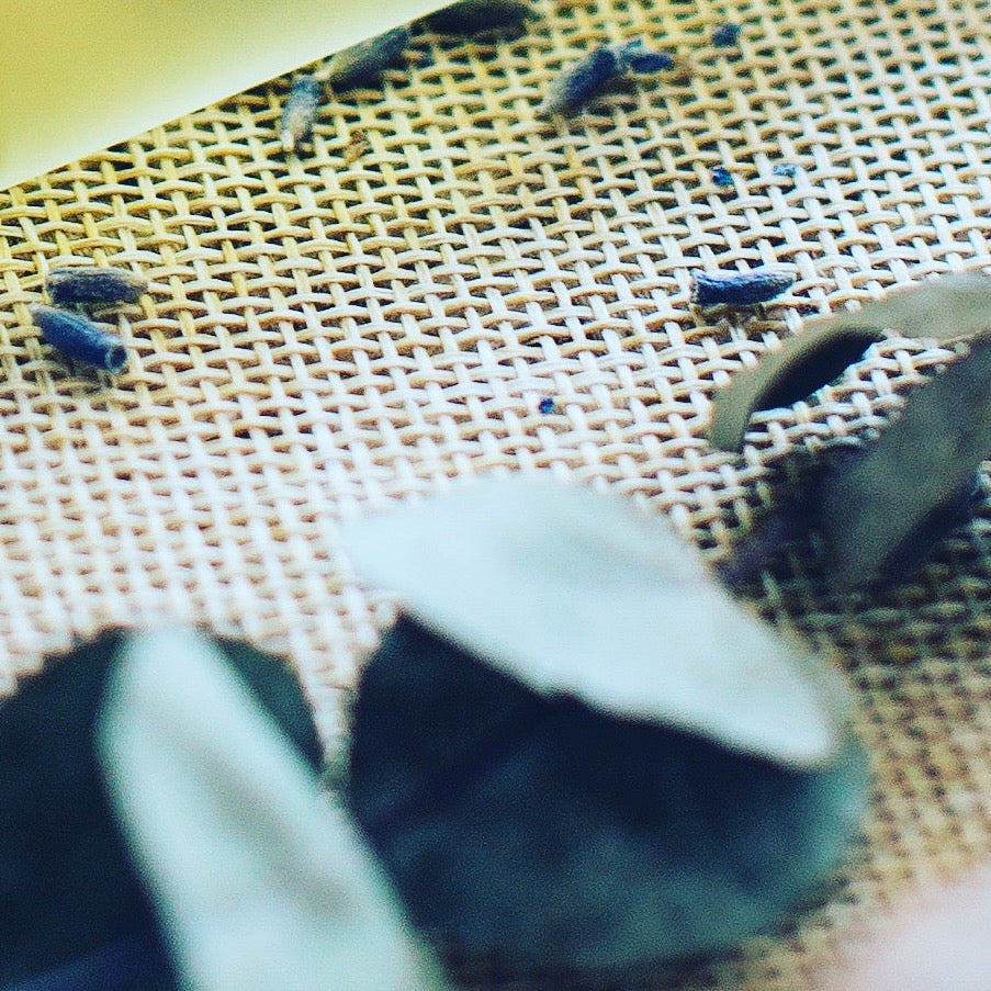 選擇香水有局限性嗎?應該選擇男士女士還是中性香水?